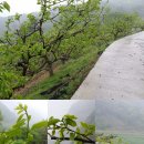 청우농장 이미지