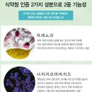 매직플라워 이미지