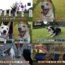 챔피언농장 이미지