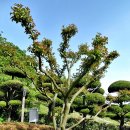 삼학도 이난영 공원 이미지