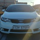 에코포르테 이미지