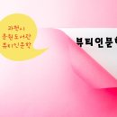 매미와 함께하는 여름여행 이미지