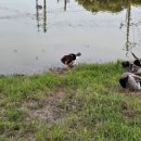 남생이못 습지생태 관찰원 이미지