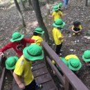 파란새싹어린이집 이미지