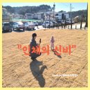 창조자연치유