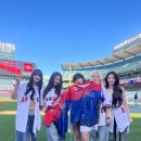 아이프로주 디스패치