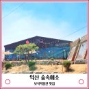 숲속애소 이미지