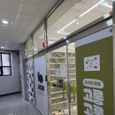 개냥이 | 📍 10개월 아기와 고롱고롱 고양이카페 후기 개냥이 천국!