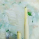 싱싱회 활어