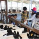 태신목장 이미지