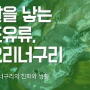 피플포유 이미지