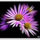 삼문송림길 이미지