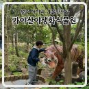 성주 가야산야생화식물원 아이와 함께한 힐링 나들이
