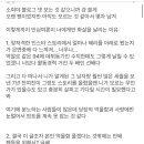 한소희 블로그 이 댓글 과연 팬 맞을까? 이미지