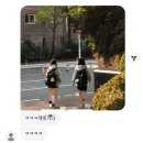 지아 애견샵 | 2025年 1月