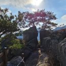 구룡대매표소 이미지