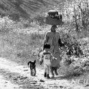 개네엄마 이미지