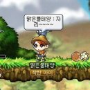 메이플 이미지