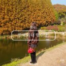 명수당 | 용인 가을명소 한국외대 명수당 다녀온 후기