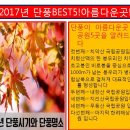 제34차 정기산행 - 치악산 단풍 트레킹 ( 10월22일 ) 이미지