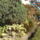 압구정초등학교 이미지