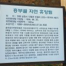 흥부골자연휴양림 티스토리