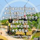 철광산 공연장 | 김해 가야테마파크 익스트림 하늘자전거 아이랑 가볼만한곳