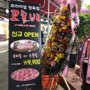 고술비