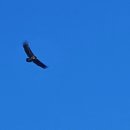 봉계숯불갈비 이미지