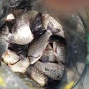 경산펜션민박 이미지