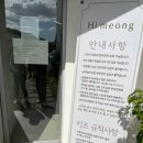 하이멍 애견카페 이미지