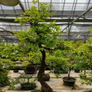 수광농장 이미지