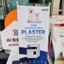 위더스내과의원