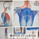 웰라이프 PT 스튜디오 | 약수역pt, 약수역피티, 체형교정피티 :: 웰라이프 PT 스튜디오 약수역점
