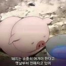 백산한우명가 네이버블로그