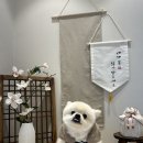 보미네옥상 이미지