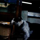 남광약국 이미지