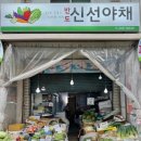 진선명청과물