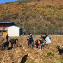 영동군청 이미지