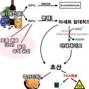 다이어트 하려면 일단 술부터 줄이세요" 이미지