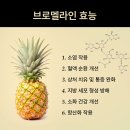 모모셀 | 몸 염증에 좋은 영양제 섭취후기와 퀘르셀 섭취후기!
