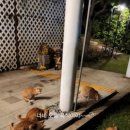 레이크앤씨빌리지 이미지