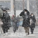 [속보] 서울시 전역, 오후 11시 기해 대설주의보 발효 이미지