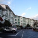 표선리-4 이미지