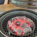 평창고기집 알펜시아 리조트 근처 배짱이갈비 돼지왕갈비
