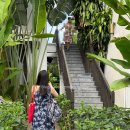 강릉세탁나라 | 26.03_다낭 여행3 ; 코이스파, 벱바바, 레거시 호이안 리조트