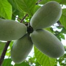 엘림농장 이미지