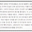 섬진강 매화 나루 이미지