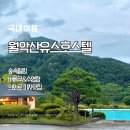 책앤아웃 호스텔 | 야외 수영장에서 힐링 제천 감성 숙소 월악산 유스호스텔 후기 type Z 303호 조식 예약 가격