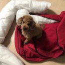 민경이네 이미지